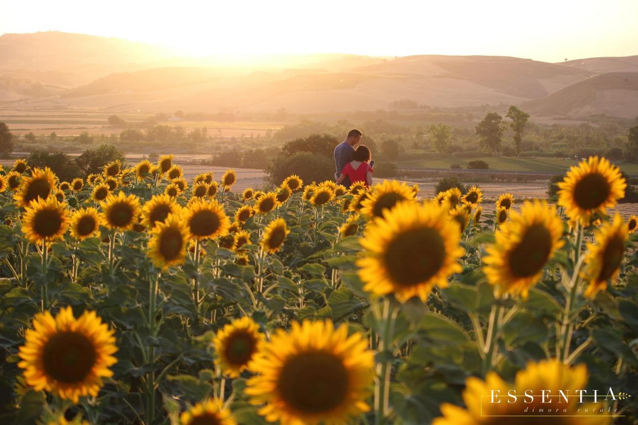 Agriturismo Essentia Dimora Rurale Larino Екстер'єр фото
