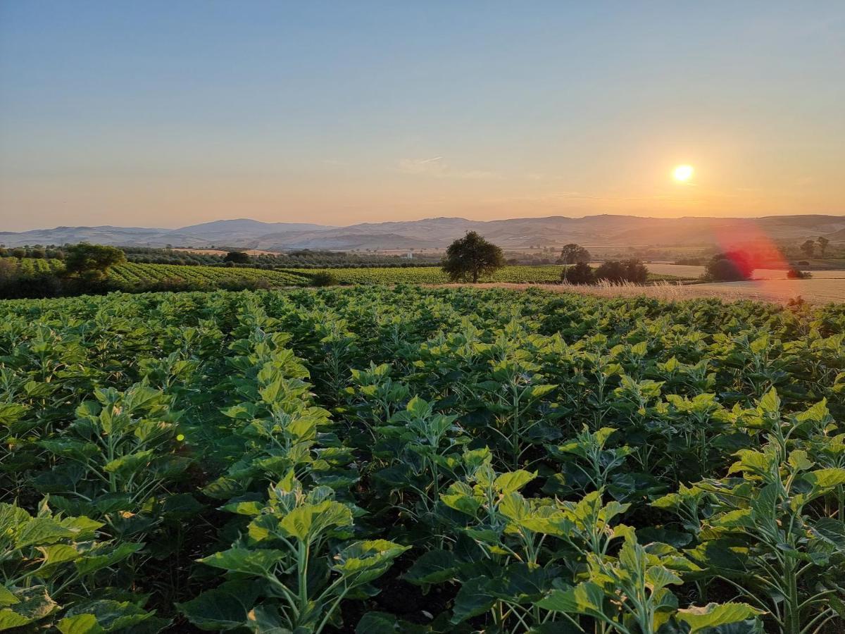 Agriturismo Essentia Dimora Rurale Larino Екстер'єр фото