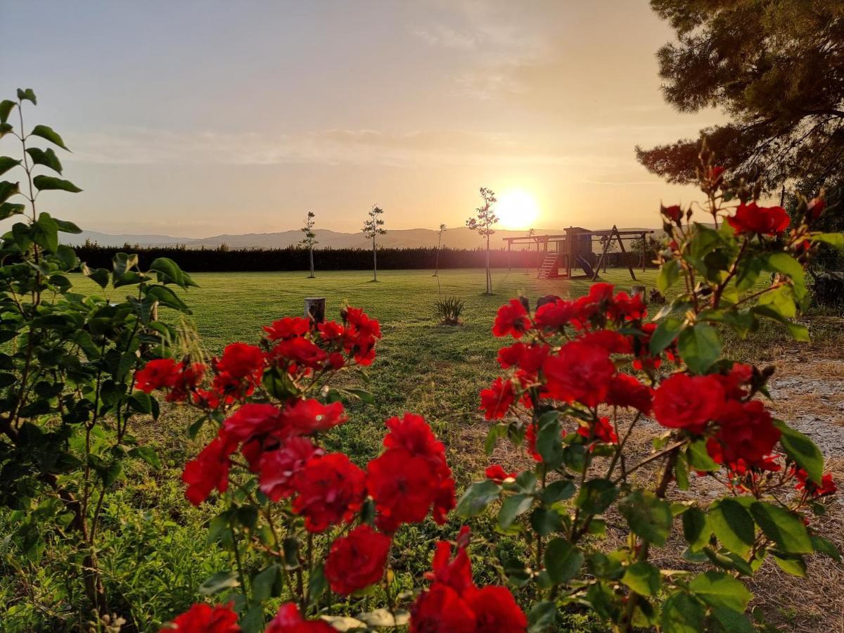 Agriturismo Essentia Dimora Rurale Larino Екстер'єр фото