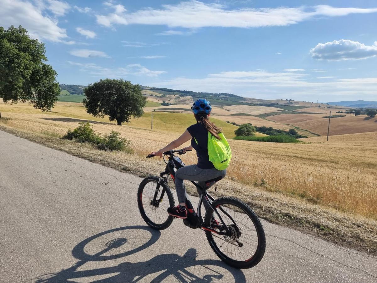 Agriturismo Essentia Dimora Rurale Larino Екстер'єр фото
