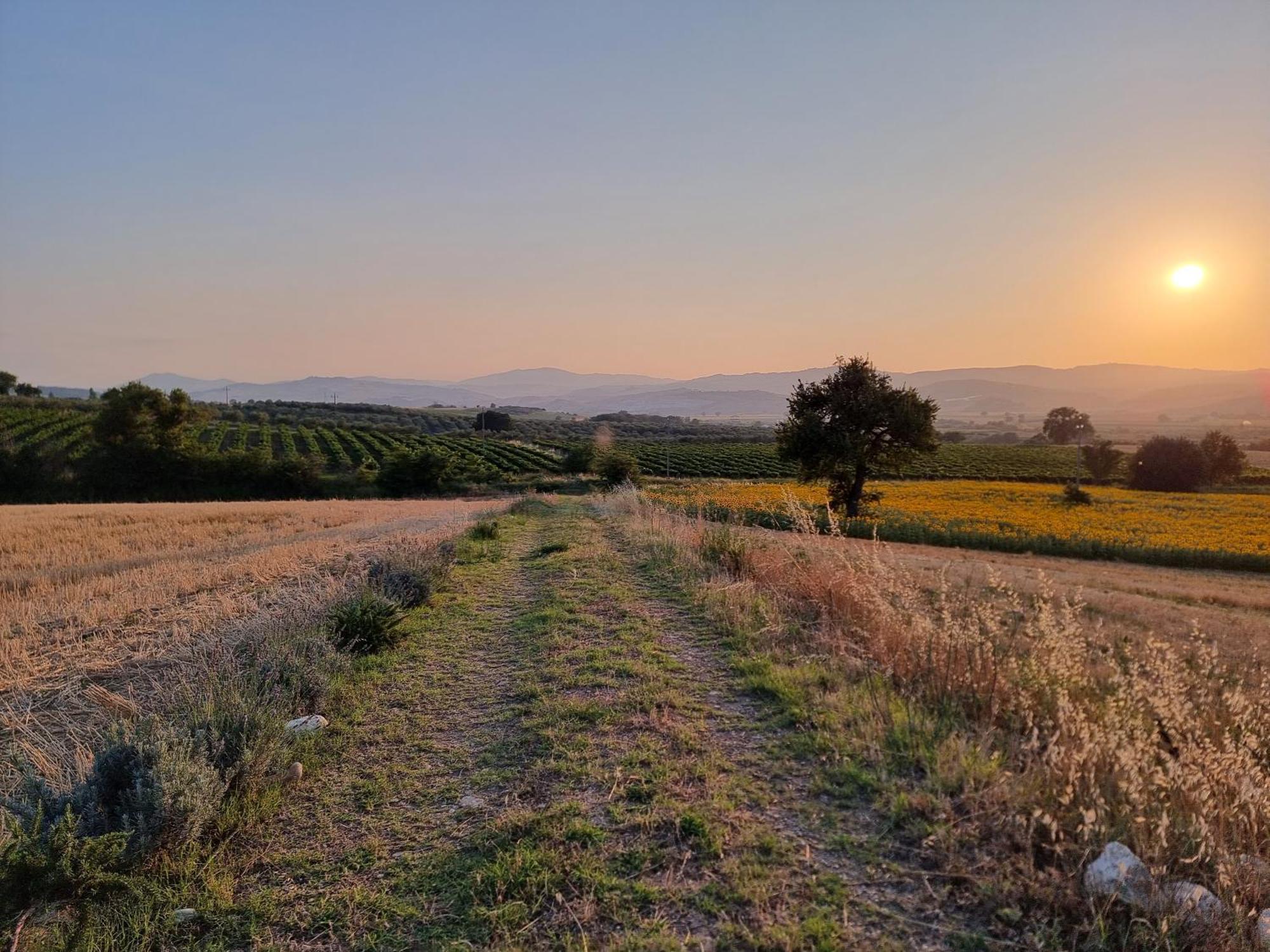 Agriturismo Essentia Dimora Rurale Larino Екстер'єр фото