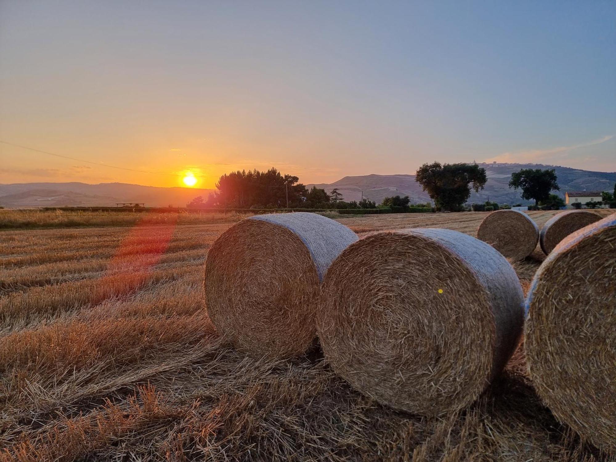 Agriturismo Essentia Dimora Rurale Larino Екстер'єр фото
