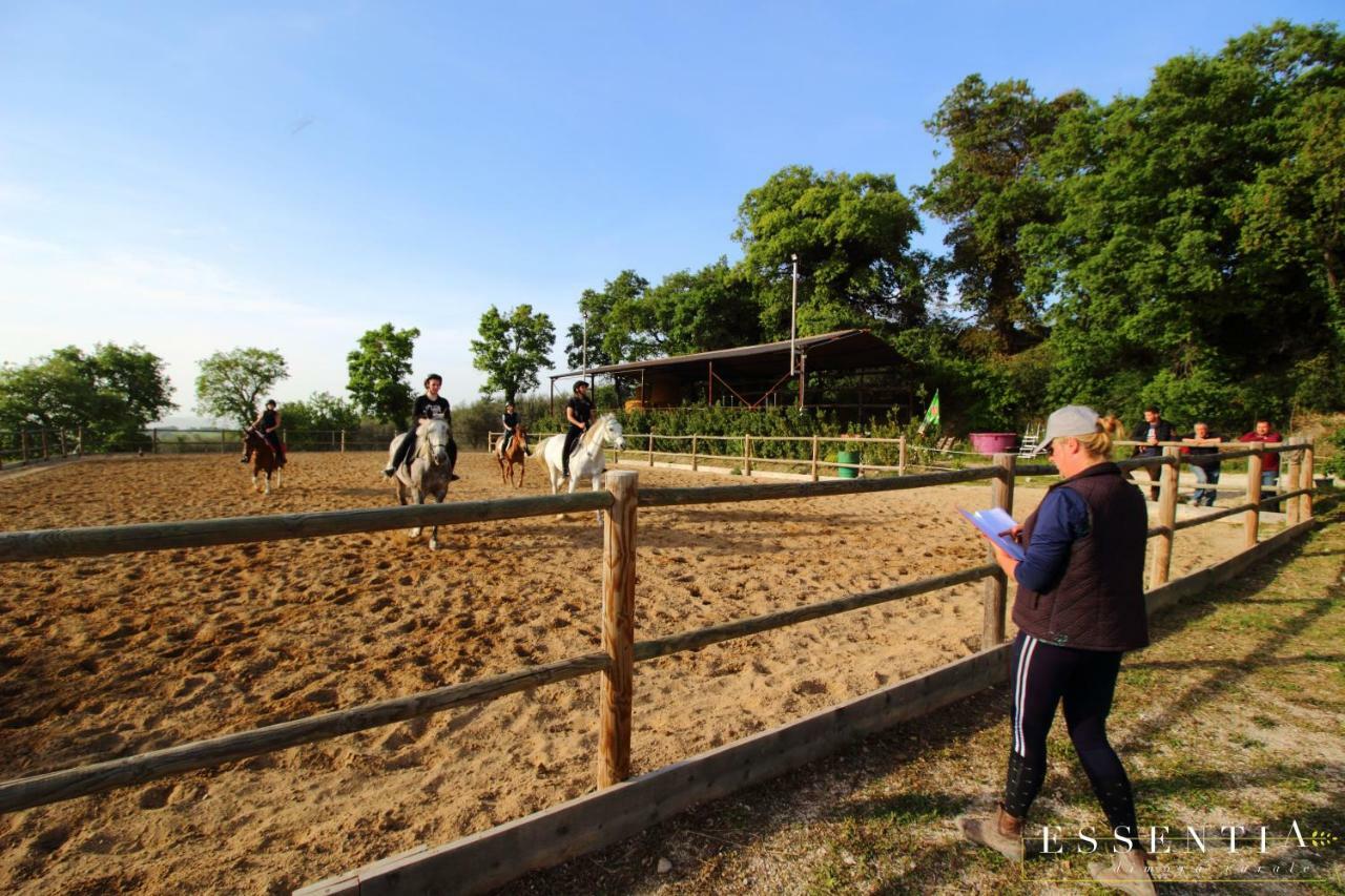 Agriturismo Essentia Dimora Rurale Larino Екстер'єр фото