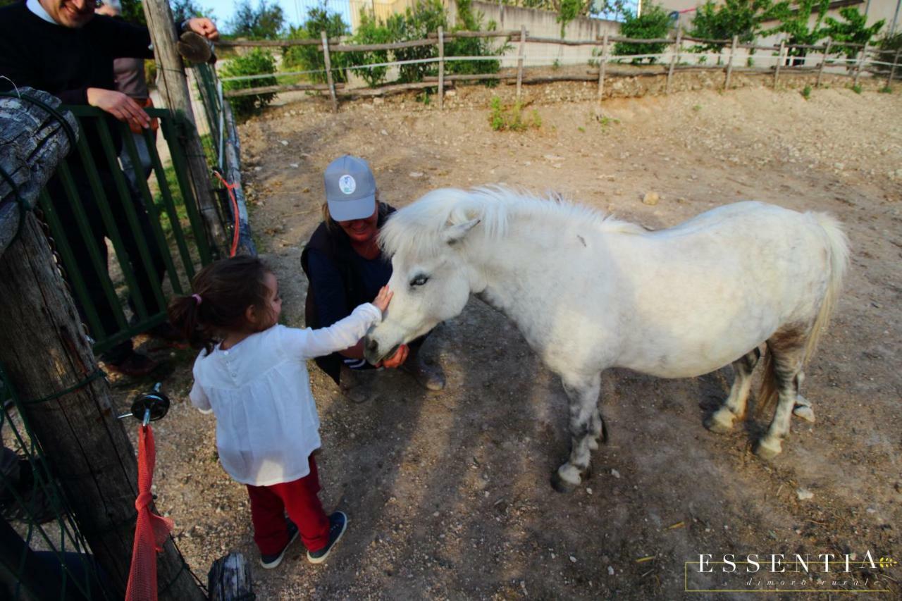 Agriturismo Essentia Dimora Rurale Larino Екстер'єр фото